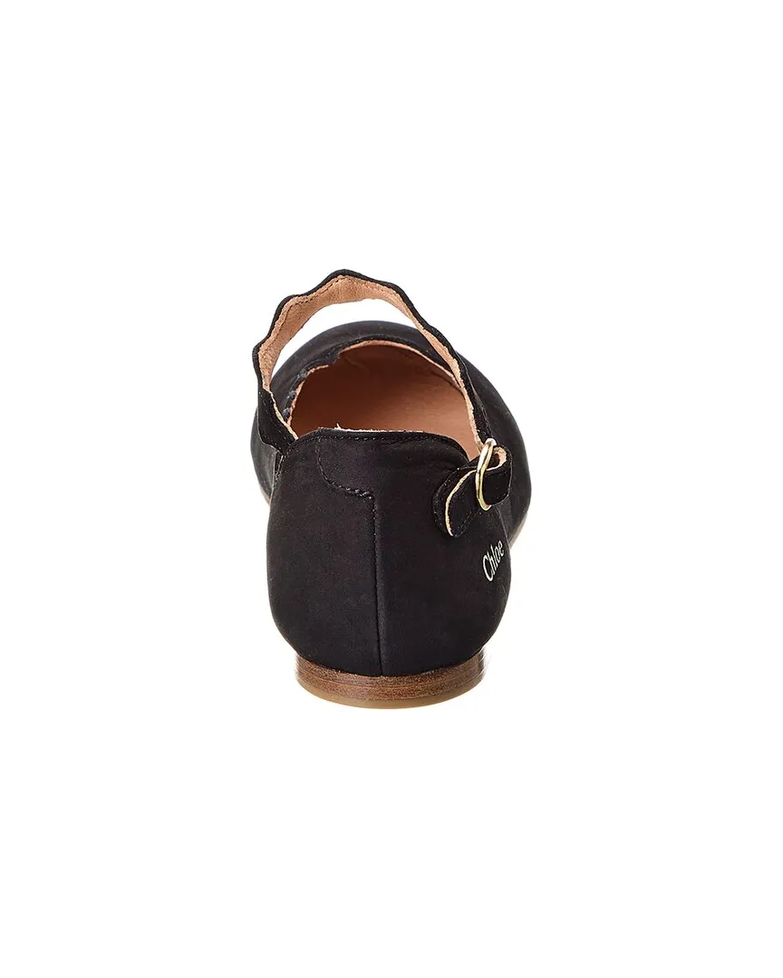 Chlo Suede Ballerina Flat