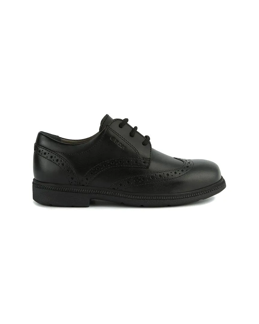 Geox Federico Leather Shoe