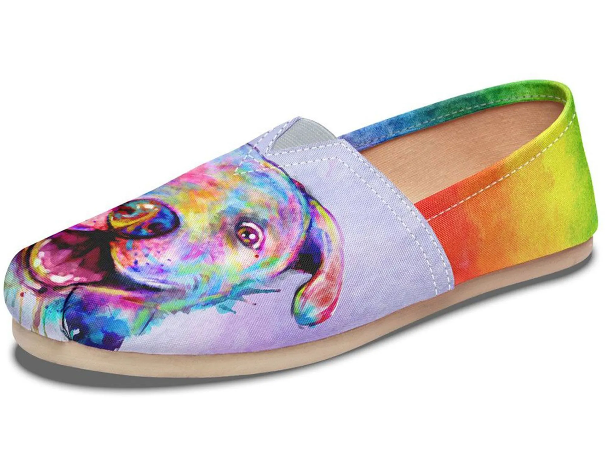 Rainbow Pit Bull Casual Shoes