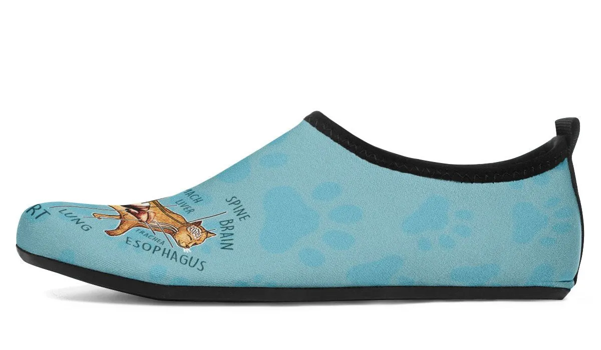 Veterinary Diagram Aqua Barefoot Shoes