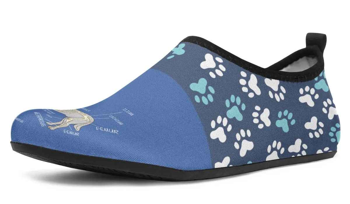 Veterinary Skeletal Diagram Aqua Barefoot Shoes