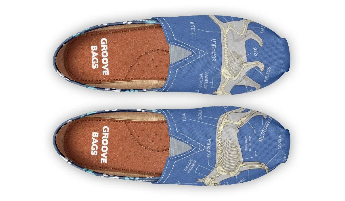 Veterinary Skeletal Diagram Casual Shoes